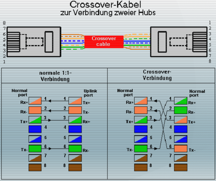 File:Medium fisik jaringan 10.png
