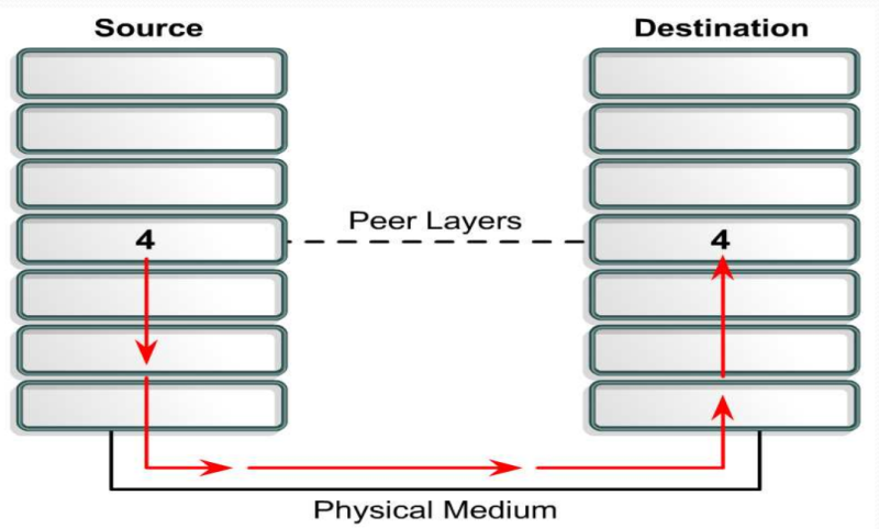 File:Network Fundamental 6.png