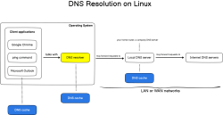 Flus DNS Resolve Linux.png