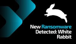 Ransomware white rabit ilustrasi.jpg