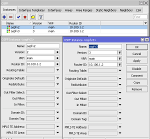 Ospf-mikrotik1.png