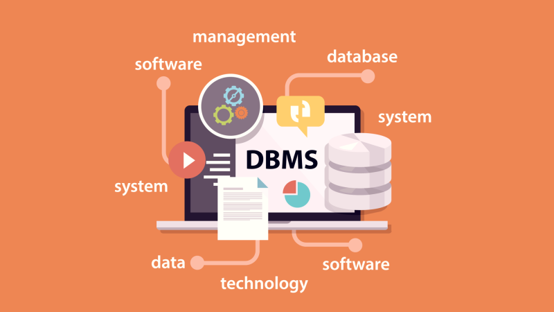 File:DBMS.png