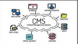 CMS1.jpg