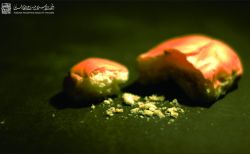 Sepotong-roti-810x500.jpg